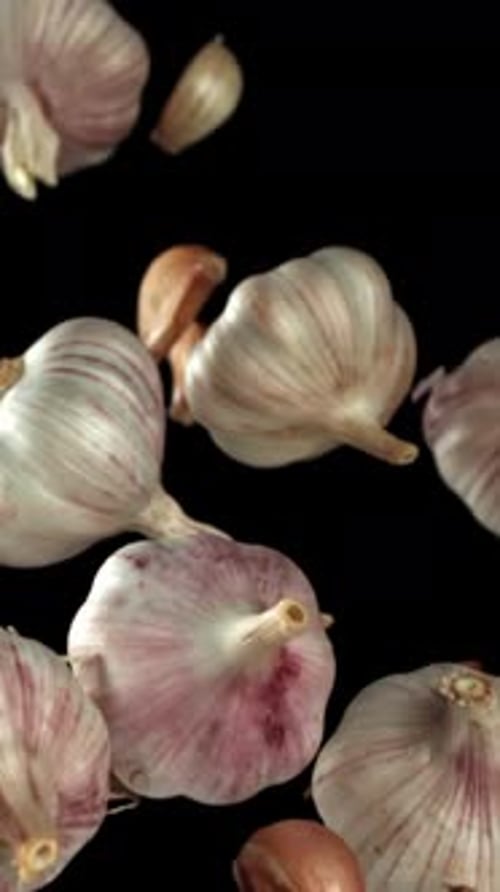 Garlic Fly Up and Fall Down on a Black Background Filmed on a Highspeed Camera at 1000 Fps