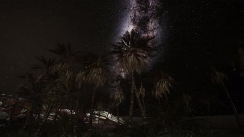 Night Scene with Silhouette Hut and Coconut Tree with Milky Way Galaxy in Sky