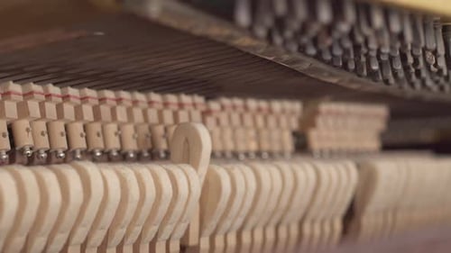 Piano Inner Mechanism