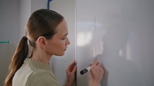Woman Professor Drawing Diagram Holding Felttippen School Auditorium Closeup