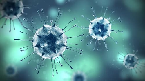 Infection Caused by Virus or Bacteria