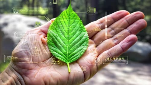 Hand Holding a Green Leaf with Futuristic Environmental Education Icons