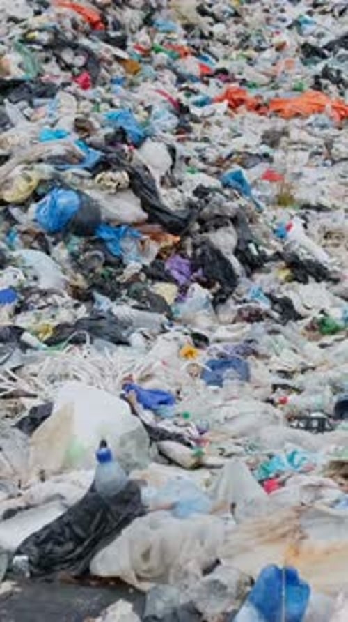 Garbage Brought By the Ocean is a Garbage Platform The Concept of Environmental Pollution