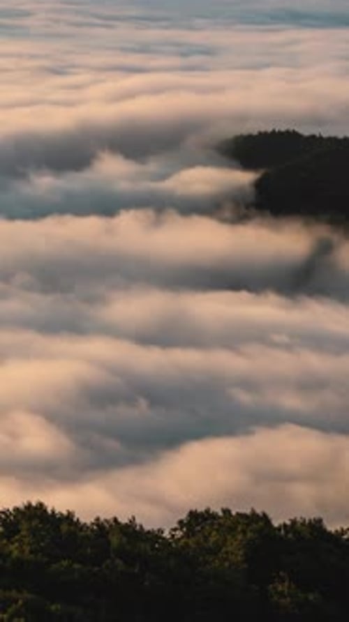 Foggy Clouds Flow over Forest