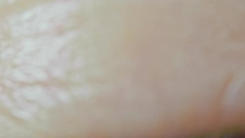 Detailed Iris with Vivid Light Patterns