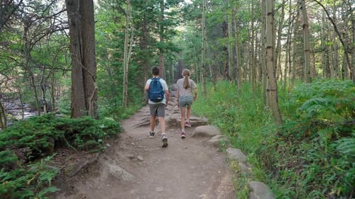 Young Children Together Enjoying Exploring Nature Forest Walk