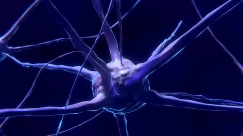 3D Concept of Interconnected Nerve Cells