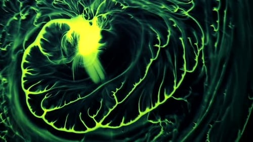 Le rêve d'un jaune d'œuf d'être une ballerine magique : un vidéoclip abstrait entièrement naturel