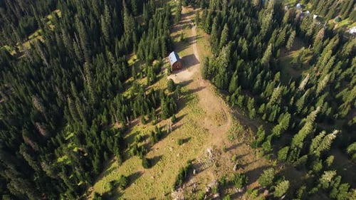 Cottage in the forest