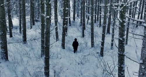 Eine Person kämpft im Tiefschnee, wenn sie in einer Waldlandschaft wandert