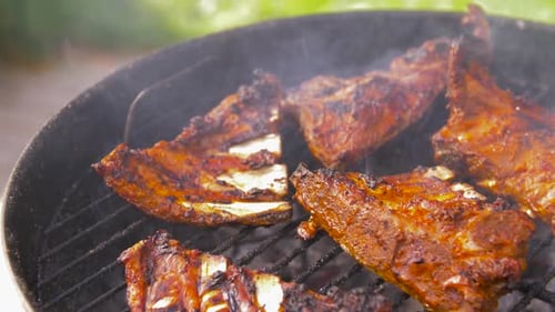 Barbecue meat roasting on brazier grill outdoors a culinary food preparation concept