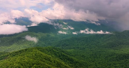 Mountain Forest with Green Canopies in Humid Summertime Season North Carolina Wild Woods Nature in
