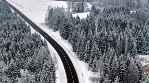 Drone aerial landscape of winding curved road highway in snowy terrain surrounded by pine forest tre