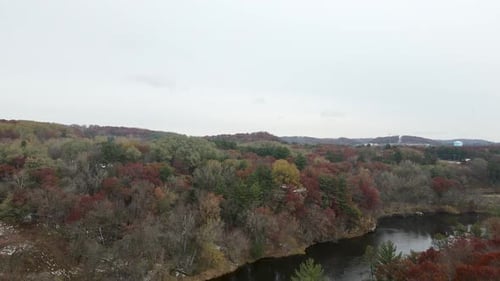 Bosque salvaje con colores otoñales junto al río. Árboles espesos junto al río Chippewa en Eau Claire, Wisconsin