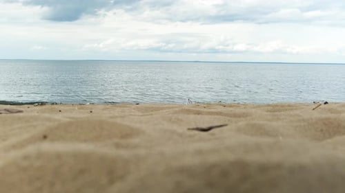 Enjoy the Serene Beach View with Calm Waters and Captivating Clouds in the Sky Overhead