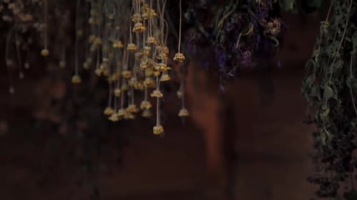 Herbal Teas in the Turaida Manor Sauna Museum.