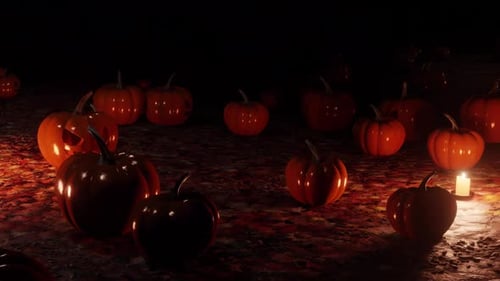 Pumpkin Field with Candles Loop