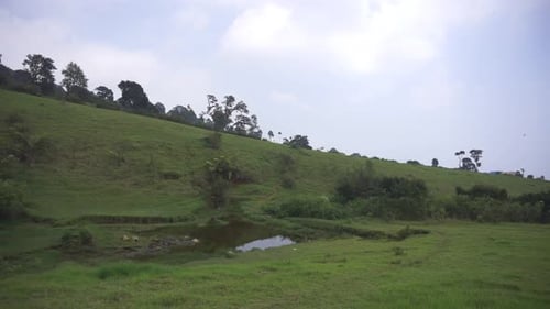 beautiful vertical video portrait natural scenery mountains natural panorama hills, and forest