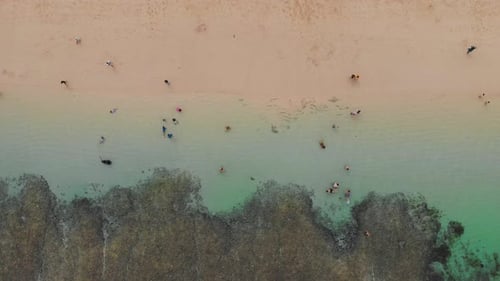 Top Aerial View on Sandy Ocean Shore with Resting Tourists and Seaweed Turquoise Water in Lagoon