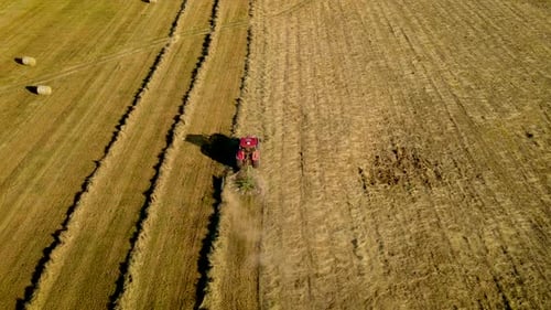 Trator com Hay Tedder coleta palha em fileiras em um campo agrícola para embalá-la em fardos