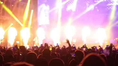 Energetic Crowd at Live Concert at Night