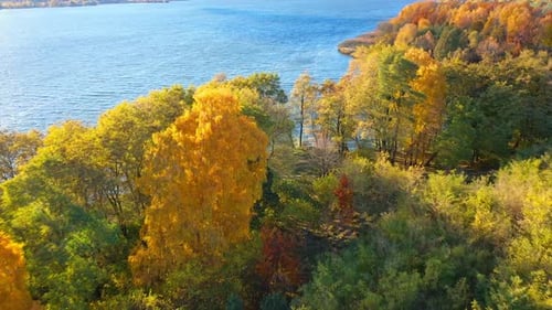 Autumn nature and forest landscape. Aerial view of beautiful river and colourful forest