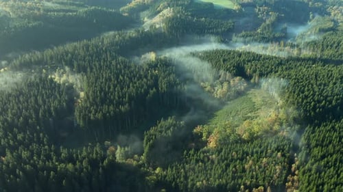 Cloud of mist through the green forest of Sommerain, Belgium -Aerial