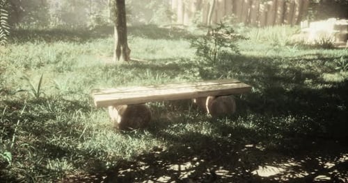 Serene Wooden Bench in a Tranquil Forest Setting Surrounded By Greenery