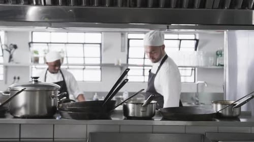 Chefs Working in a Professional Kitchen Preparing Meals