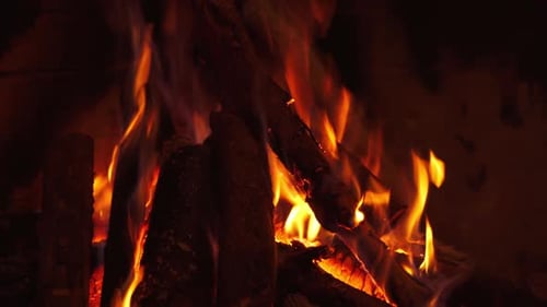 Burning wooden logs in fireplace. Fire in fireplace with logs and flames.