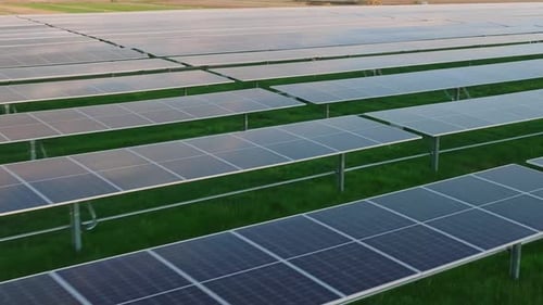 Rows of solar panels in a green field generating renewable energy on a sunny day