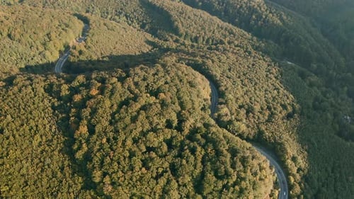 Aerial tilt down drone shot of cars driving on a winding heart shaped mountain road in the middle of