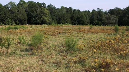 Aerial View of Rural Grassy Field