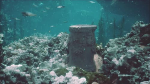 Ancient Underwater Ruins and Fish in a Natural Reef Environment