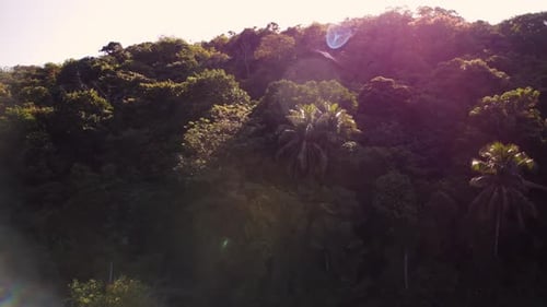 Aerial Closeup Footage of Green Mountains at Warm Summer Day Filmed By Drone