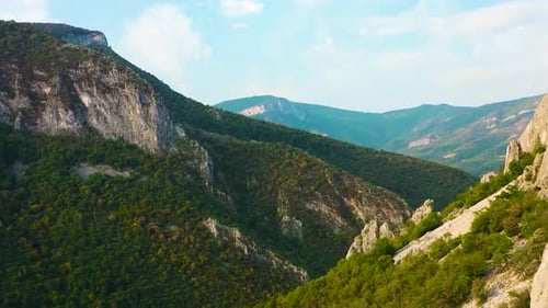 Finding Solace in the Alpine Forest: Navigating the Mountainous Woodlands 4K