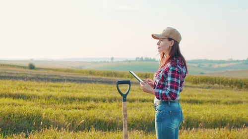 Ganzkörperansicht der Landwirtin, die während der Untersuchung Tablet-Computer-Anwendungen durchsucht