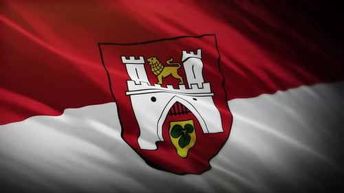 Hannover Flag Waving - Germany