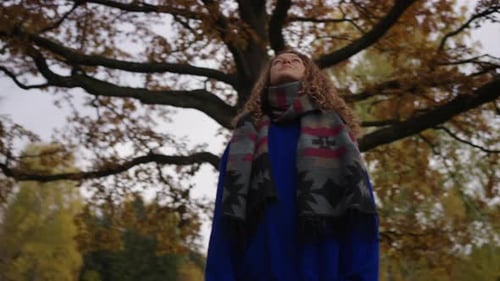 Young Woman Admiring the Vibrant Fall Foliage in a Serene Forest Setting