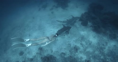 Woman Swims on Deep with Nurse Sharks in Tropical Blue Ocean in Maldives