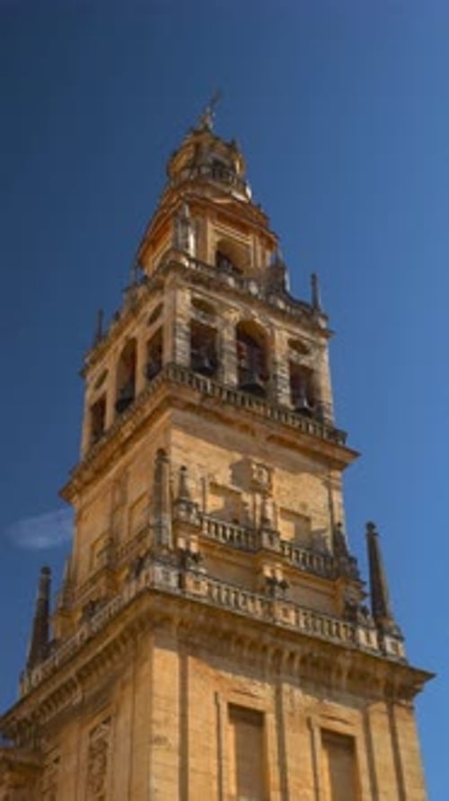 Helle Nachmittagshighlights Prunkvoller Turm inmitten von lebendigem Laub und ruhiger Plaza-Atmosphäre