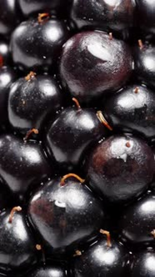 Vertical video. A macro view of a blackberry rotating on a black background, with its tiny hairs