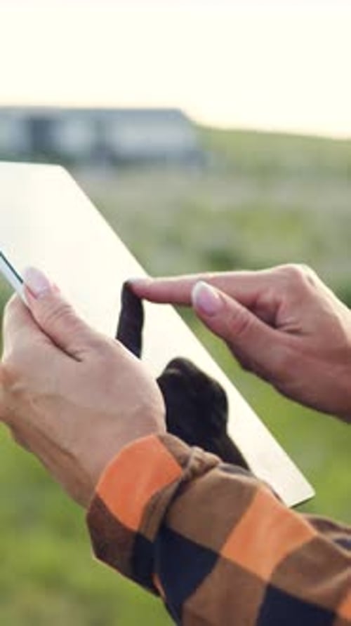 Nahaufnahme einer Bäuerin mit den Händen auf einem Weizenfeld, die ein digitales Tablet hält und auf dem Bildschirm tippt, Agronomin