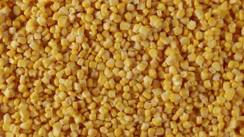Top View of a Surface Filled with Many Ripe Corn Kernels