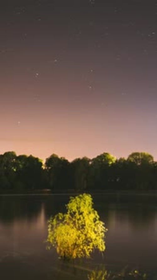Night Sky Stars over Lake and Silhouetted Trees