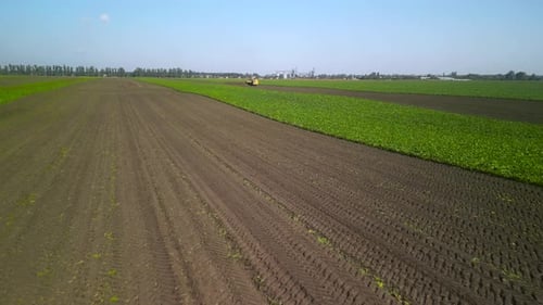 Agriculture - Flying Over the Sugar Beet Field