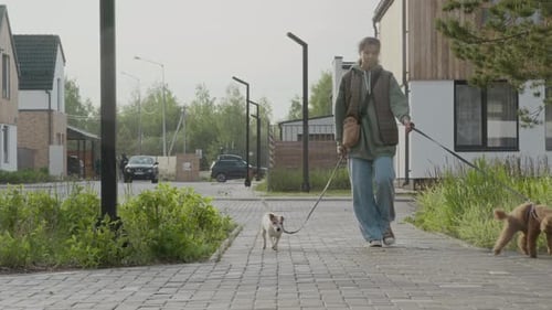 Teenage Dog Walker in Neighbourhood