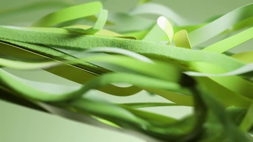 3d Render Animation Motion Design Backdrop Cut Torn Cloth Fabric Green Yellow Layers Floating