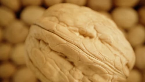The concept is the falling of a walnut down into a cluster of other walnuts, captured in a macro