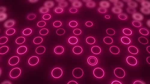 Rote Kreisanimation, digitaler Farbverlauf, roter Hintergrund, Circle Tech, digitaler Datenbeutel